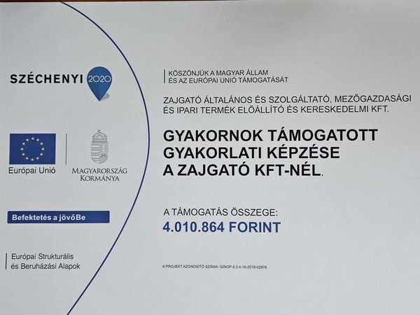 Gyakornoki plyzat